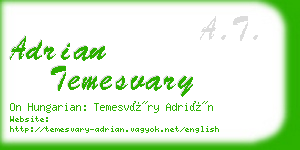 adrian temesvary business card